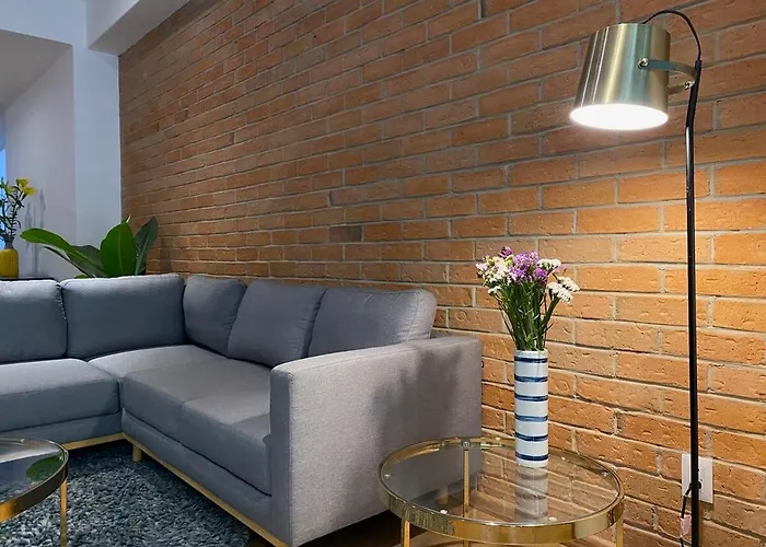 Amazing 3 Bedrooms With Pool La Roma Norte